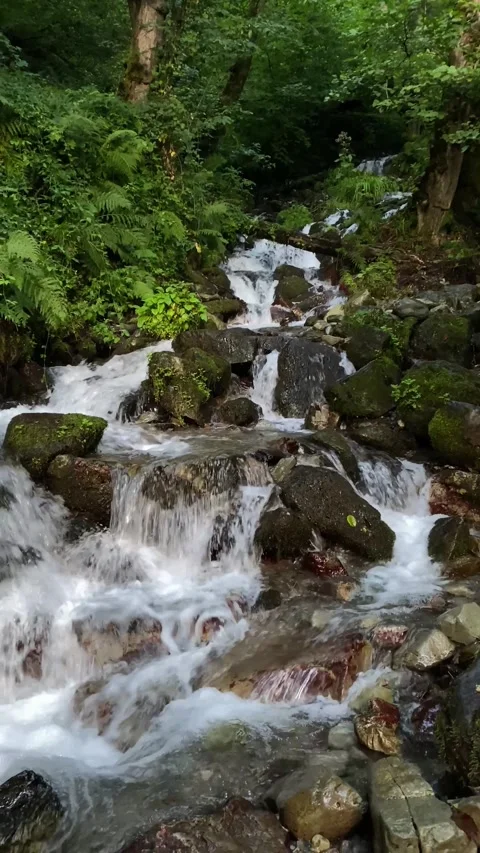 Waterfall in the forest, water flows down large round stones, forest and grass Stock Footage 261713270