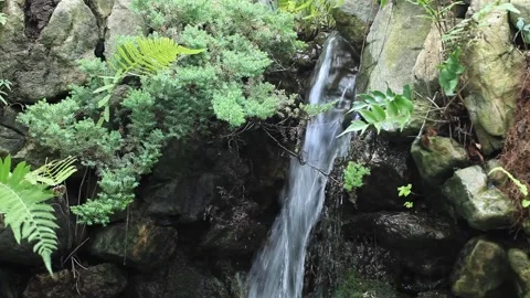 Waterfall in the forest, waterfall in the mountain Stock-Footage 305820177