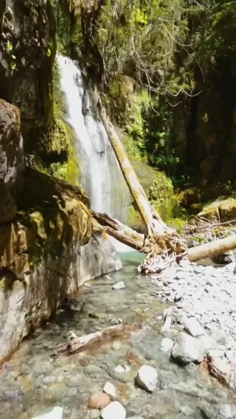 Waterfall in the forest with woods Stock Footage 274298804