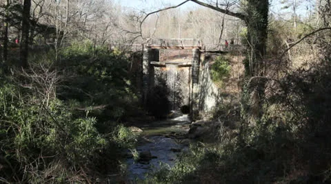 Waterfall Forest WS Video stock 22664914