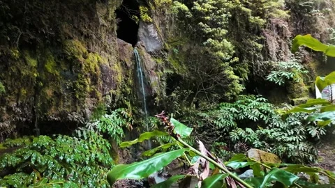 Waterfall in the foreste, flowing from a cave Stock Footage 292451116