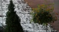Waterfall Fountain With Trees At The National Mall Washingtong DC HD Footage