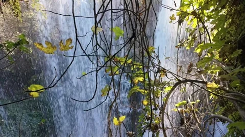 Waterfall Framed By Autumn Tree Branches Stock Footage 341767518