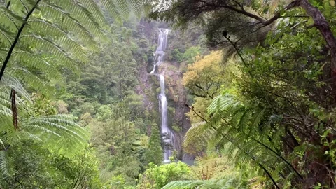 Waterfall framed by plants and trees 動画素材 168586139