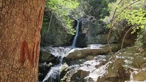 Waterfall framed by tree in Cyprus mountain gorge Stock Footage 328097114