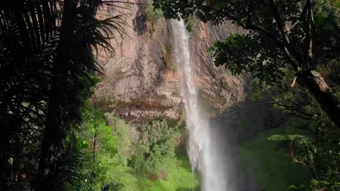 A waterfall framed by trees, Raglan, New Zealand 库存影片 145828589