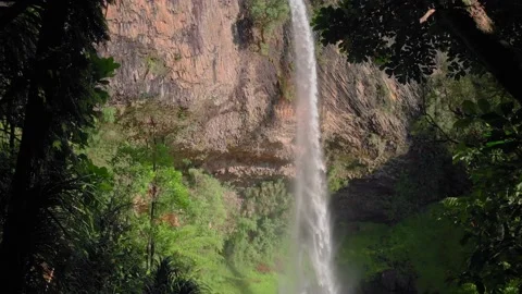 A waterfall framed by trees, Raglan, New Zealand Stock Footage 145828743