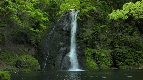 Waterfall in the fresh green Stock Footage 144820564