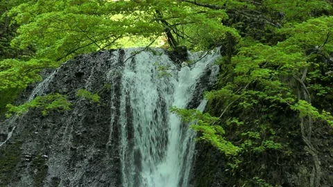 Waterfall in the fresh green Stock Footage 144820584