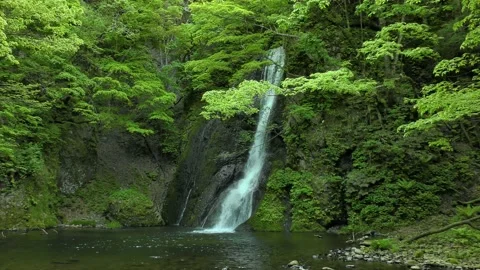 Waterfall in the fresh green Stock Footage 144820602