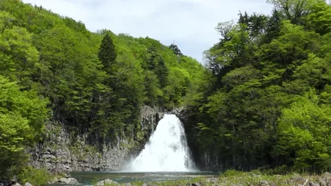Waterfall in the fresh green Stock Footage 145068115