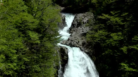 Waterfall in the fresh green Stock Footage 145068191