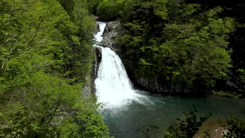 Waterfall in the fresh green Stock Footage 145068216