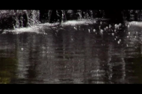 Waterfall Garden  Video stock 311576