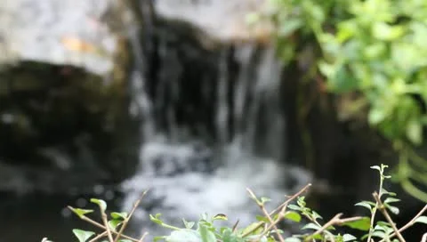 Waterfall in the garden Stock Footage 10725860