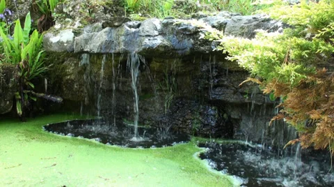 Waterfall in the garden Stock Footage 38045810