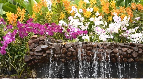 Waterfall in garden Stock Footage 45926017