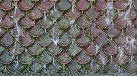 Waterfall in a garden Video stock 47130301