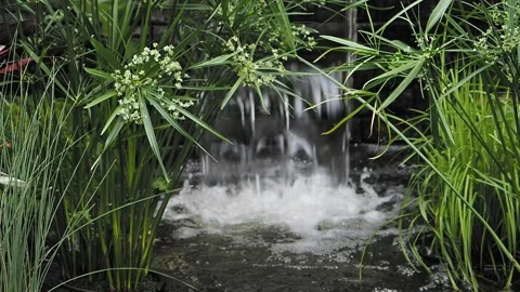 Waterfall in the garden Stock Footage 134081659