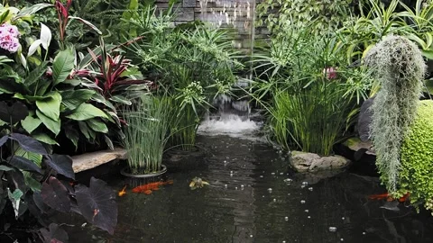 Waterfall in the garden Stock Footage 134081705