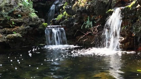 Waterfall in the garden Stock Footage 213483114