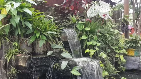 Waterfall in the garden Stock Footage 221685402