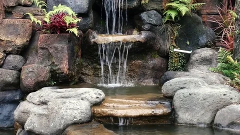 Waterfall in a garden pond Stock Footage 73766419