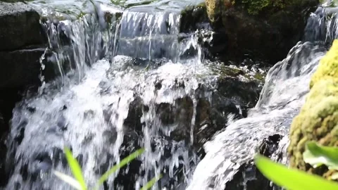 Waterfall in garden, waterfall in forest Vídeo Stock 310079984