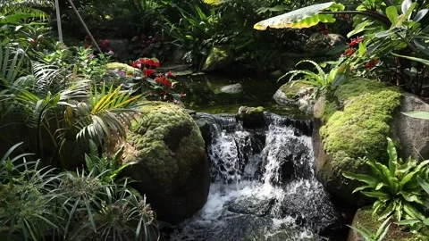 Waterfall in garden, waterfall in forest Video stock 310080020