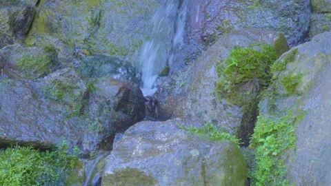 Waterfall Gently Flowing Over Mossy Rocks Stock Footage 283717253