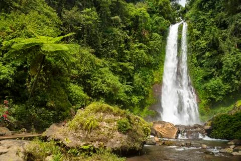 Waterfall Git Git, Bali, Indonesia Stock Photos