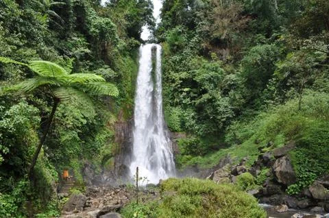 Waterfall Git-git, highest on island Bali Foto stock