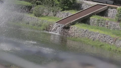 WATERFALL WITH GRASS AND TREES  Stockbeeldmateriaal 168207766