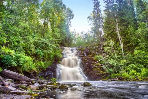 Waterfall Green forest bight stream Stock Photos