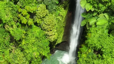 Waterfall in the green forest. Stock Footage 235402294