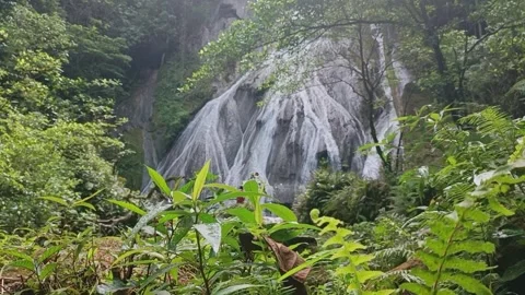 Waterfall in green forest Stock Footage 242386943
