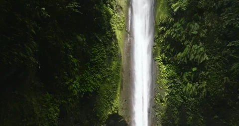 Waterfall in the green forest. Stock Footage 251421502
