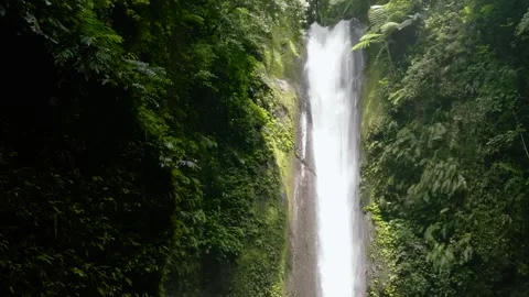 Waterfall in the green forest. Stock Footage 337446013