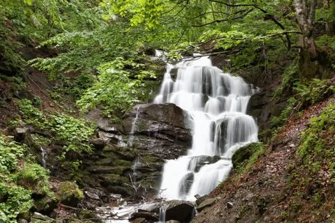 Waterfall in a green forest. Stock Photos