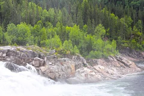 Waterfall in green forest Stock-Fotos