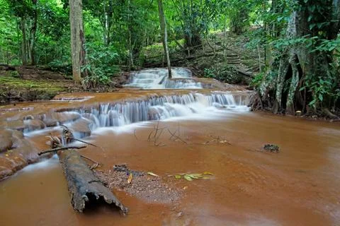 Waterfall in green forest Stock Photos