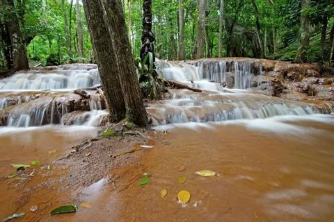 Waterfall in green forest Stock Photos