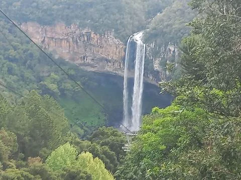 Waterfall in the Green Forest Stock Photos