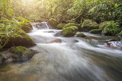 Waterfall in a green forest Stock Photos