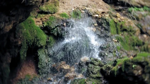 Waterfall green forest river stream landscape Vídeos de archivo 90736118