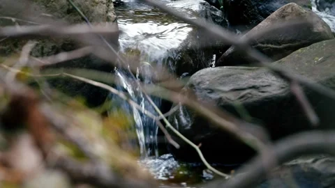 Waterfall green forest river stream landscape Stock Footage 271428061