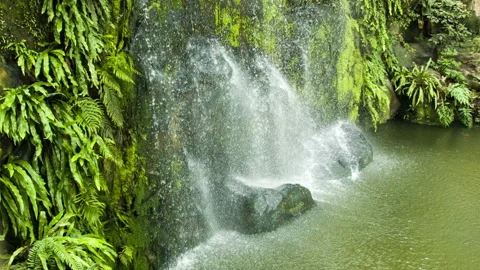 Waterfall with green leafs loop Stock Footage 196300567
