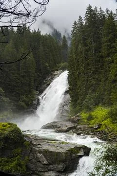 Waterfall in green pine forest Stock Photos