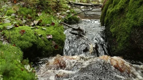 Waterfall in green  rainforest Stock Footage 84850917