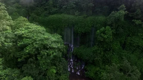 Waterfall with green tree forest view from above Stock Footage 164562873